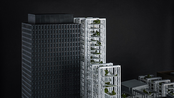 Shared Core, Shared City